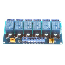 NOYITO 6-Channel Relay Module 5V 12V 24V High Low Level Trigger with Optocoupler Isolation Relay Load AC 250V 10A DC 30V 10A (DC 12V, Blue)