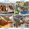 Bird Bath Heater for Outdoors in Winter, 80w Birdbath Heaters
