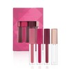 Set de Labiales Líquidos 4 Piezas con Acabado Brillante, Perlado,