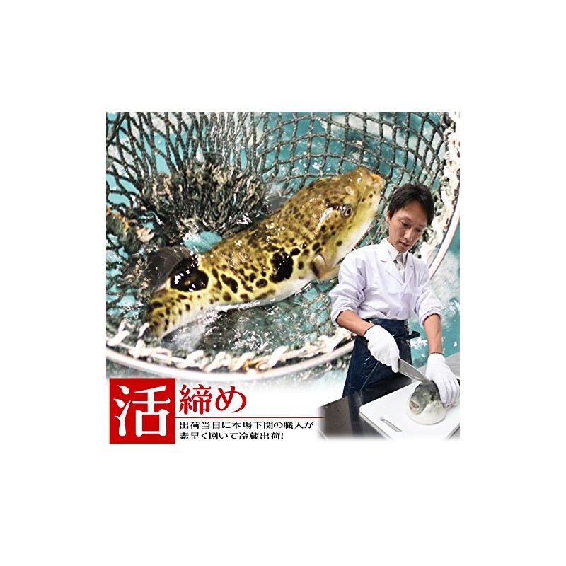 Torafugu Pot Set (3 - 4 servings, 17.6 oz (500