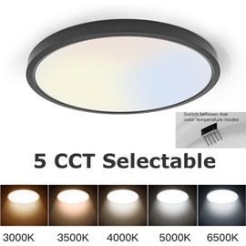 TALOYA LED Ceiling Light Office Black,5 Color Temperatures,15.8 Inch Thin Flat Modern Flush Mount LED Light Fixture for Living Room,24w Round