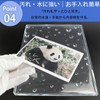 Niesporek Hard Card Case, A4, Clear Case, 10 Pieces, Transparent