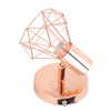 Swing Arm Wall Lamp 350 Degree Rotary Cage Shade Iron