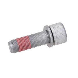 Original screw with disc brake caliper front 1315375080