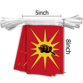 20 PCS Mohawk Nation Flag String,20 FT Canada Mohawk Native Decor Bunting,Indigenous Decoration Banner for Outdoor Indoor Patio Yard Decor