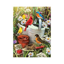 Pracht Creatives Hobby Pracht Creatives Hobby Royal & Langnickel - Paint by Numbers Junior Birds, Contains Paints and Brushes, for Adults and Children from 8 Years