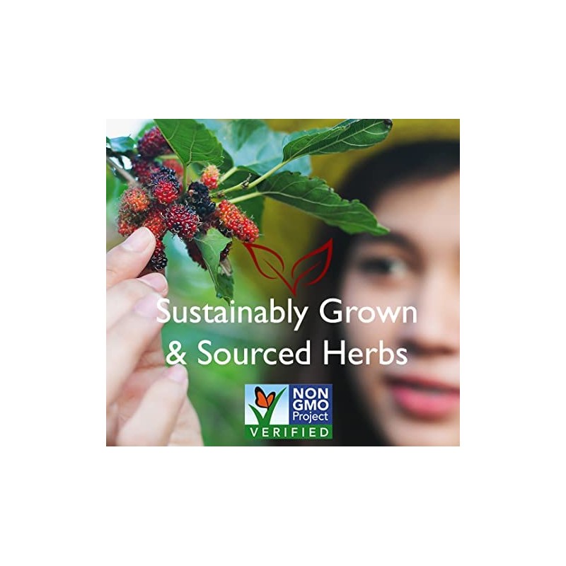 Bravo Tea 6 Mushroom Defense Herbal Tea, Caffeine Free 20