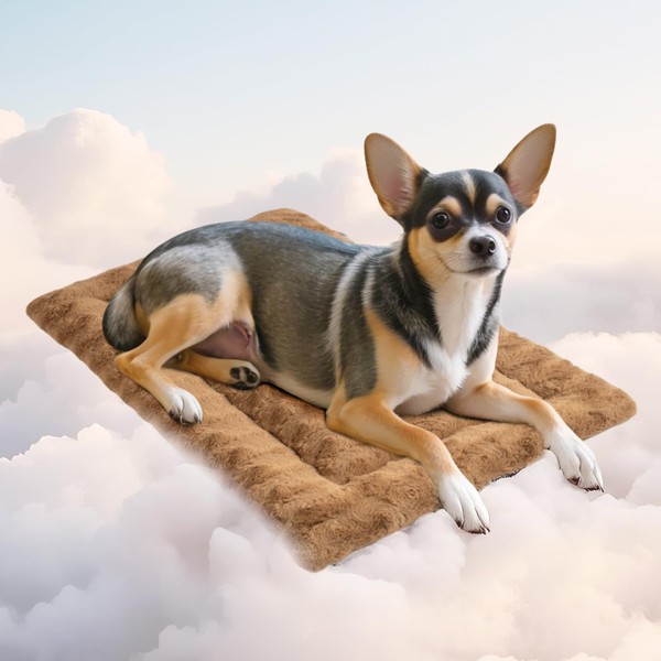 Mora Pets Dog Bed Mat Rose Plush Crate Pad Calming