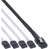 InLine® 27610 0.75m Serial Attached SCSI (SAS) cable - Serial