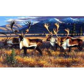 NORTHERN NOMADS Signed and Numbered Limited Edition print by Cynthie Fisher 21.75" x 13.5"