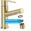 Tondiy Bathroom Tap Matt Stainless Steel Washbasin Tap with Spout