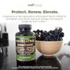 Gade Nutrition Resveratrol Berberine Quercetin Grape Seed Extract Green Tea