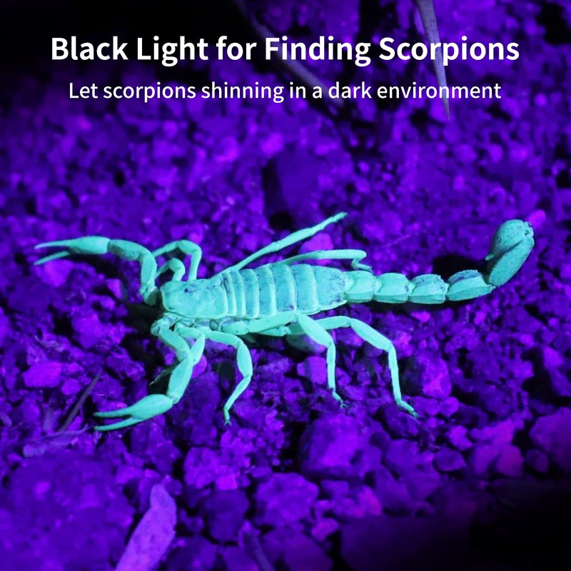 REALHUNLEE UV Flashlight Black Light, 100 LED Blacklight Flashlight Dry