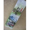 8.0 Oz (230 g) Taiwan Ali-Shan Oolong Tea/ Green Tea