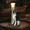 Solar Dog Garden Statues with Lantern, Resin Boston Terrier Sculpture