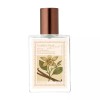 Atelier Pay [아뜰리에 페이]vanilla & musk 30ml Atelier Pay Vanilla