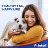 Pointail Hot Spot and Wound Spray for Dogs and Cats,