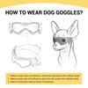 PETLESO Small Breed Dog Goggles, Sunglasses with UV Protection for