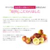 Fureai Seikatsukan Yamano Kamu Kamu -junsui- 2 bags Natural Vitamin