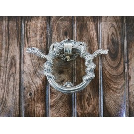 Decorative Brass Snake Door Knocker – Shiny Round Gate Handle Pull for Front Door | Antique Style Entryway Knocker & Home Decor Accent for Main Entrance