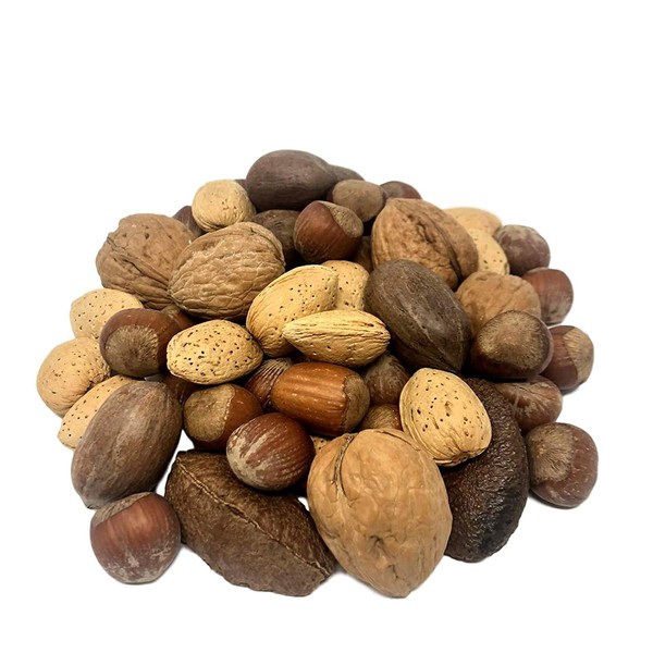 NUTS U.S. – Mixed Nuts In Shell (Almonds, Walnuts, Hazelnuts, Pecans, Brazil Nuts) | No Added Colors and No Artificial Flavors | Fresh Buttery Taste and Raw |Packed In Resealable Bags!!! (1 LB)
