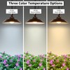 Involux Solar Pendant Light with Remote Control, 300LM Dusk to