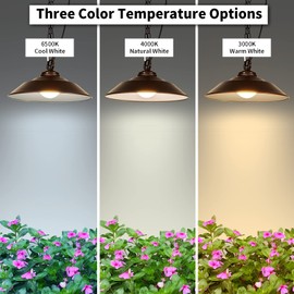 Involux Solar Pendant Light with Remote Control, 300LM Dusk to Dawn Auto On/Off - 3 Color Temperatures & Adjustable Brightness, Waterproof Outdoor Hanging Light for Patio, Shed, Barn, Porch