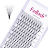 Volume Lash Extensions 10D Premade Russian 0.07 C Curl 8-14mm