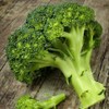 David's Garden Seeds Broccoli Waltham 25 Non-GMO, Heirloom Seeds