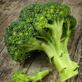 David's Garden Seeds Broccoli Waltham 25 Non-GMO, Heirloom Seeds