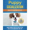 Puppy Socialization: What It Is and How to Do It