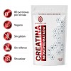 Creatina Monohidratada Pura 400 G | Bonsanté Labs |