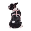 BECHANMIG Rhinestone Dog Harness, Reflective Bling Nylon Dog Vest, No