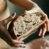 Freshly Fermented – Organic & Vegan Certified Freeze Dried Sourdough