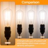MAXvolador Vintage LED Edison Bulb 60W Equivalent 800LM, 6W ST58