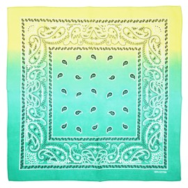 Topkids Accessories Paisley Bandanas Hair Bands Headbands Women Men Dogs Head Bands Festival Bike Accessories Face Masks Holiday Essentials Head Scarf (Two Tone Yellow & Green)