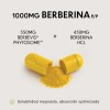 Berberina 1000mg Vitfinity 10x Absorcin Con Berbevis Phytosome Patentado Berberine