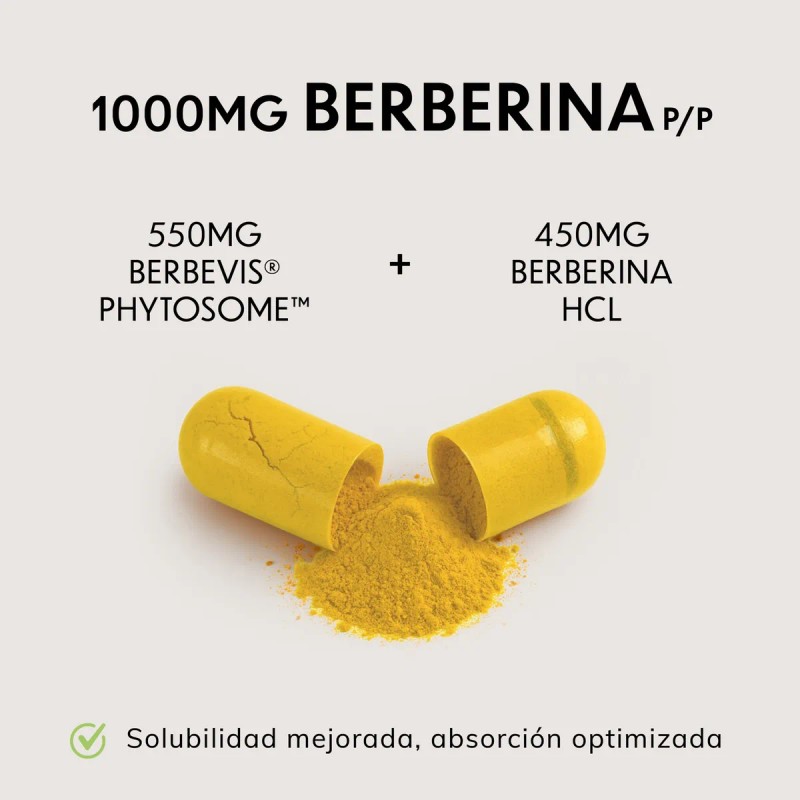 Berberina 1000mg Vitfinity 10x Absorcin Con Berbevis Phytosome Patentado Berberine