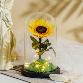 Eternal Sunflower Gift, Preserved Flower, Acrylic Dome Sunflower Decor, Acrylic Dome Flower Decor with LED Strip, Gift for Birthday, Anniversary, Wedding, Thanksgiving, Christmas, Mother’s Day