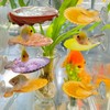 KFPSHLQE 7 Pack Seashells Betta Hammock,Betta Bed Resting Spot,Fish Tank