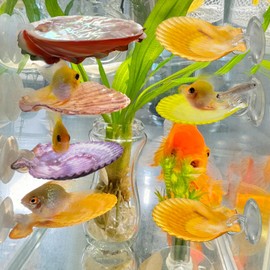 KFPSHLQE 7 Pack Seashells Betta Hammock,Betta Bed Resting Spot,Fish Tank Accessories,Small Fish Natural Spawning Grounds Breeding,Fish Tank Aquariums Decorations