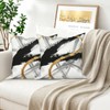 TOENGS Black and Gold Modern Abstract Velvet Pillow Covers 18x18