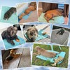 BEAUTYZOO Upgraded Dog Self Cooling Mat Ice Silk Chill Pads