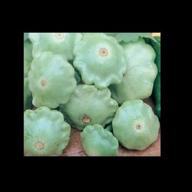 10 Seeds Lunar Eclipse Patty Pan Scallops Summer Squash F1 Hybrid