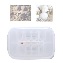 Reptile Breeding Box,16.5x11x5.2cm Reptile Hatchery Box Reptile Incubation Box with Transparent Cover and Temperature Measuring for Hatching Reptiles Lizards, Snakes