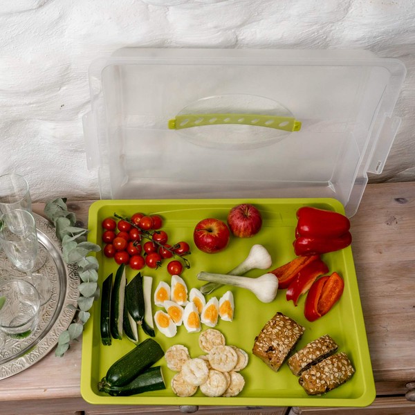 Rotho Partybutler Large Plastic Food Transport Box