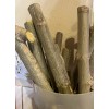 Tree 6 Organic Moringa Oleifera Cuttings. Approx 8-10 Inches Each.