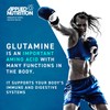 Applied Nutrition Glutamine 4K - L Glutamine 4000 mg Per