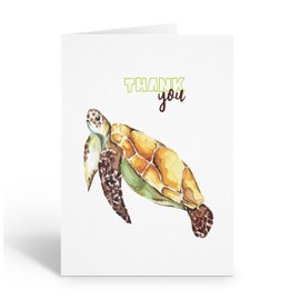 Stonehouse Collection | Watercolor Sea Turtle Thank You Note Cards | 10-Pack Blank Greeting Cards with Envelopes (Sea Turtle)