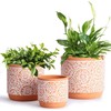 DeeCoo DeeCoo 3 Piece Ceramic Plant pots Indoor Flower Pots